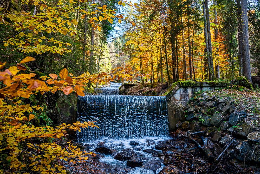 Platz 6 Johann Kerler